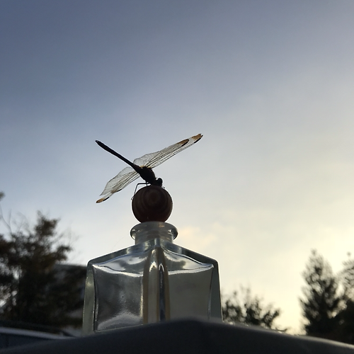 프로필 이미지