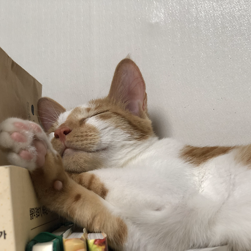 프로필 이미지