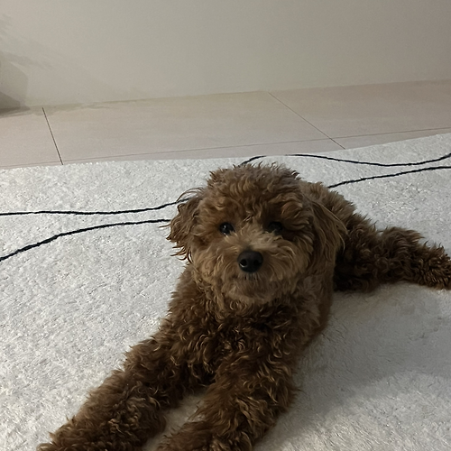 프로필 이미지