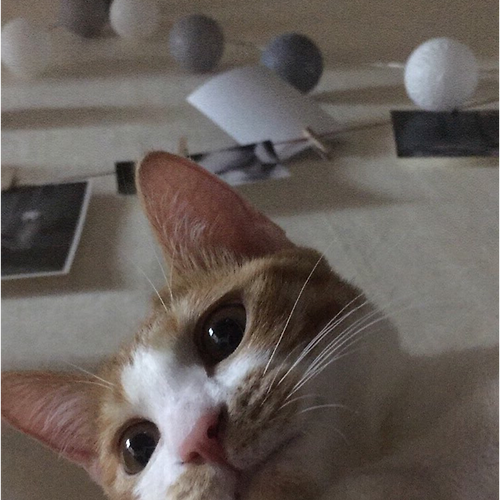 프로필 이미지