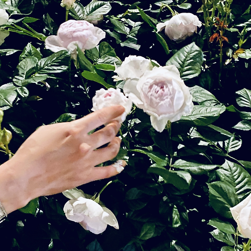 프로필 이미지
