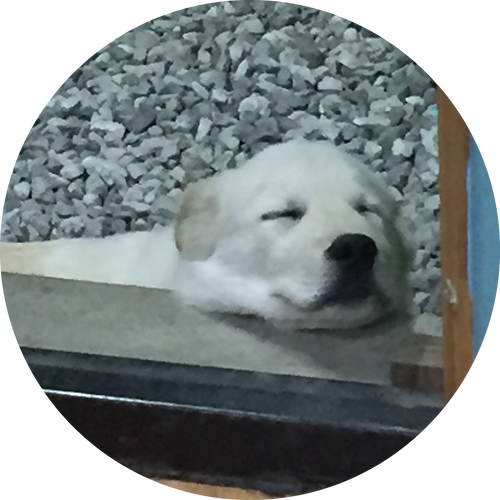 프로필 이미지