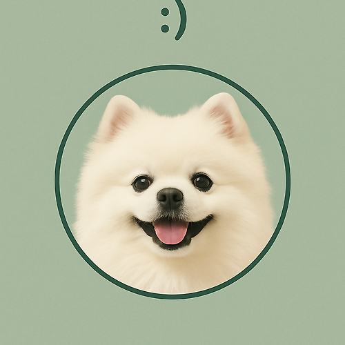 프로필 이미지