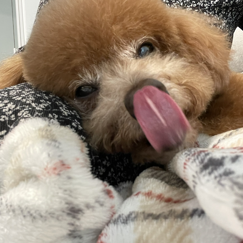 프로필 이미지