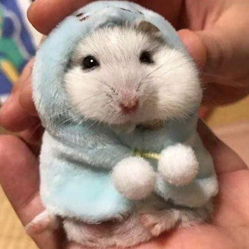 프로필 이미지