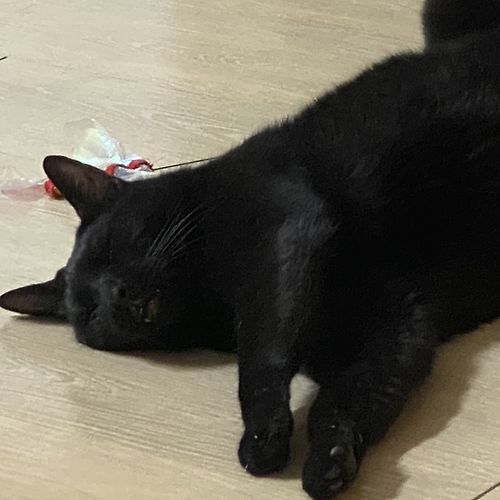 프로필 이미지