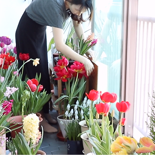 프로필 이미지