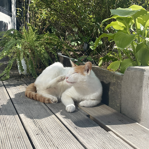 프로필 이미지