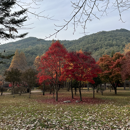 프로필 이미지