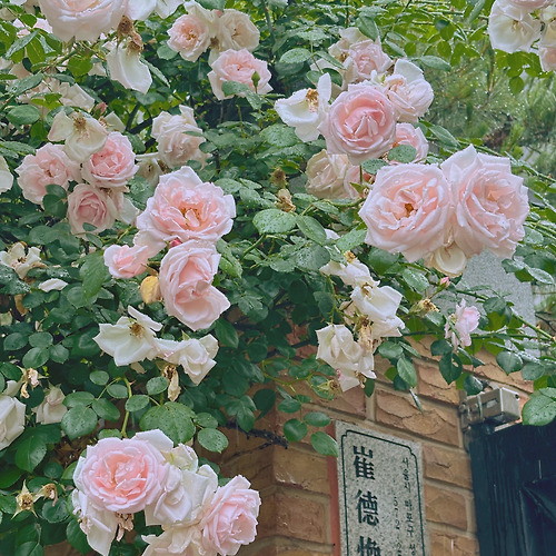 프로필