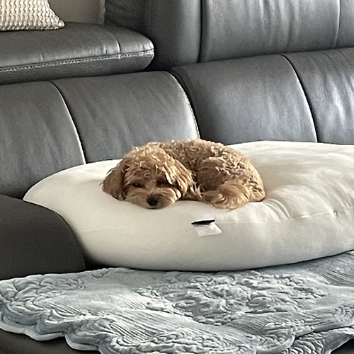 프로필 이미지