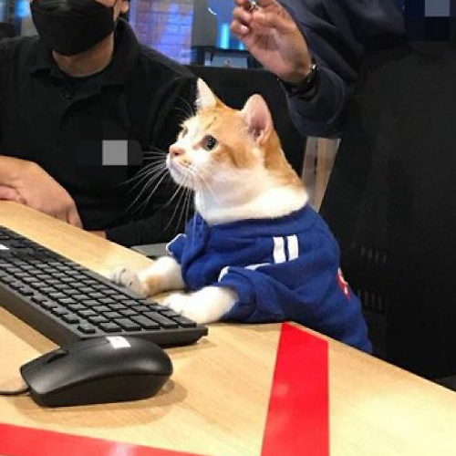 프로필 이미지