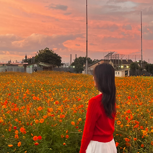 프로필