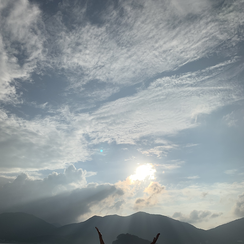 프로필