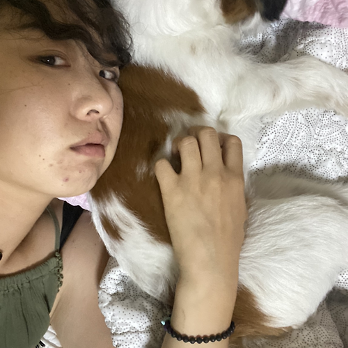 프로필 이미지