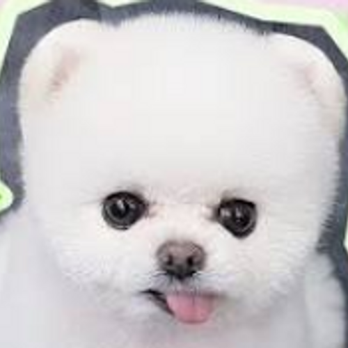 프로필 이미지