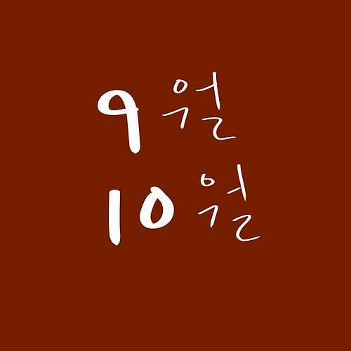 프로필