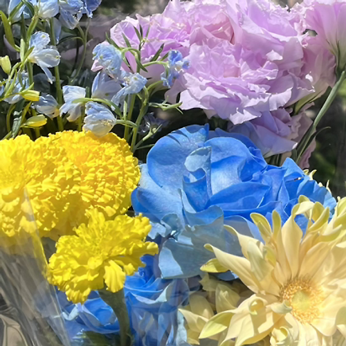 프로필 이미지