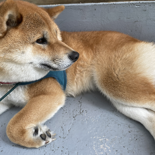 프로필 이미지