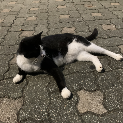 프로필 이미지