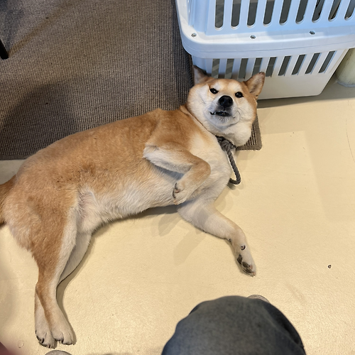 프로필 이미지