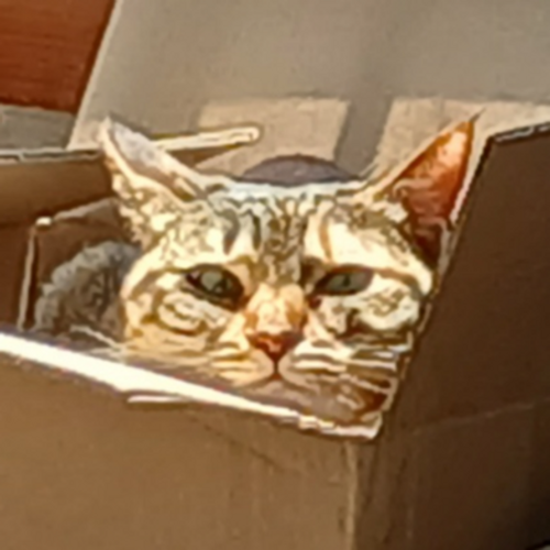 프로필 이미지