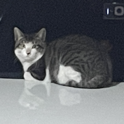 프로필 이미지