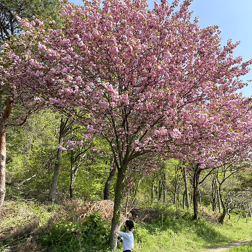 프로필 이미지