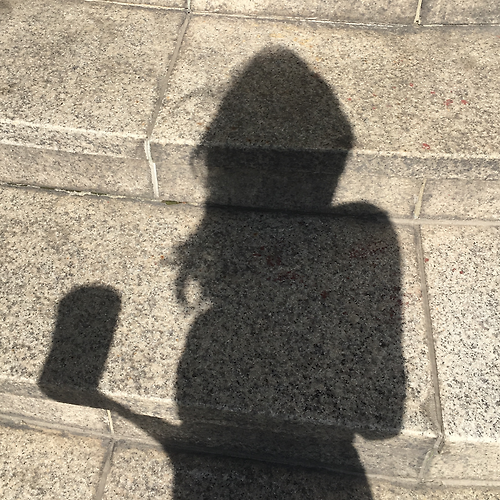 프로필 이미지
