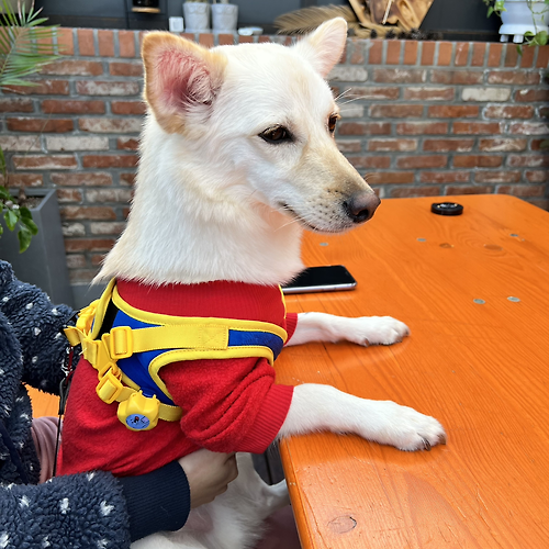 프로필 이미지