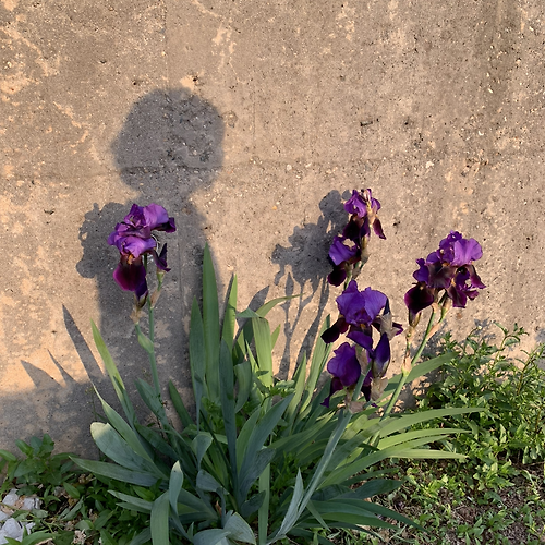 프로필 이미지