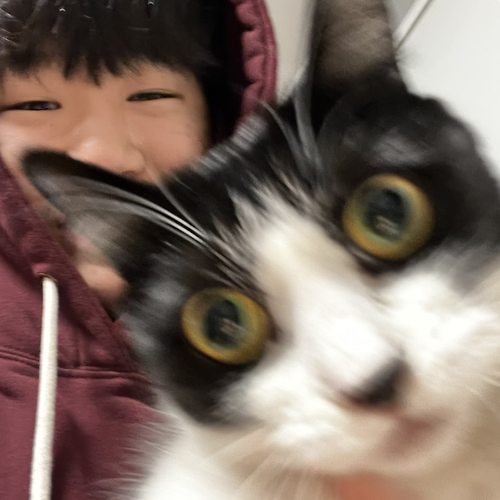 프로필 이미지
