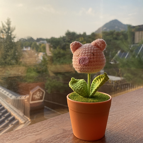 프로필 이미지