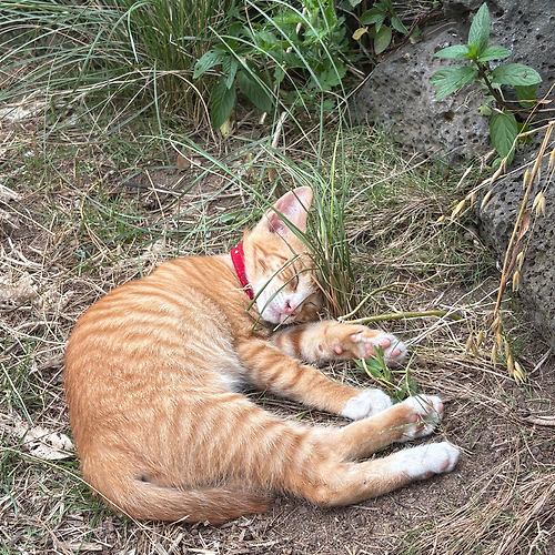 프로필 이미지