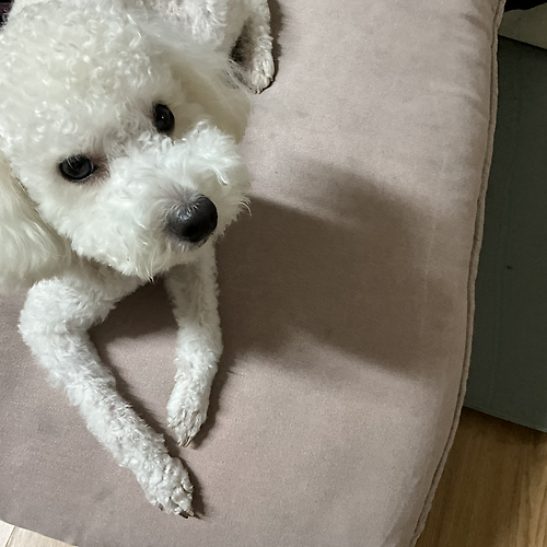프로필 이미지