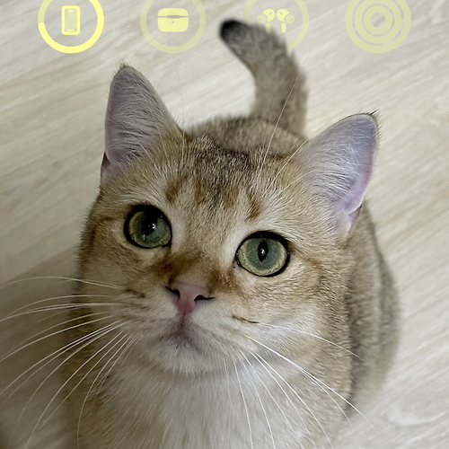 프로필 이미지