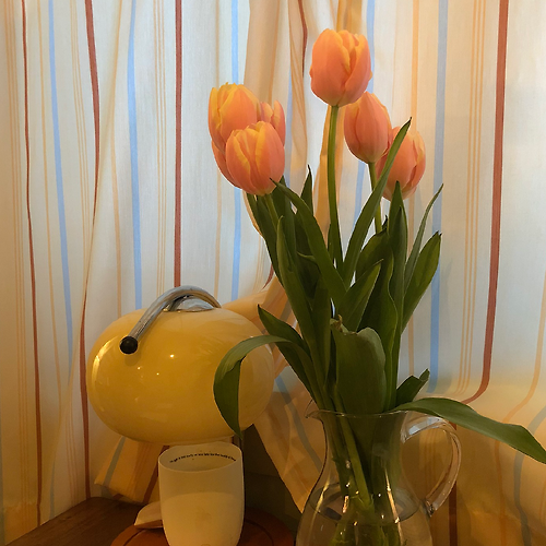 프로필 이미지