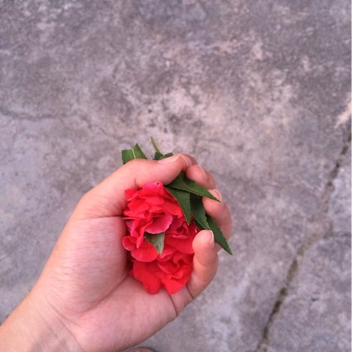프로필 이미지