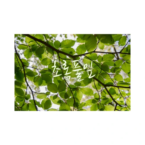 프로필 이미지
