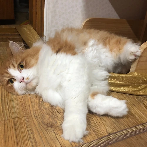 프로필 이미지