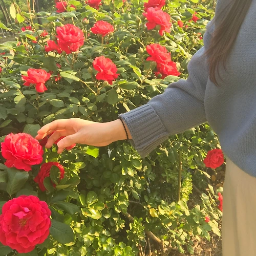 프로필 이미지