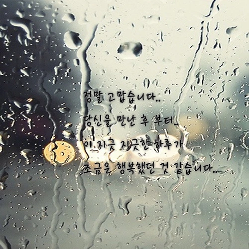 프로필 이미지