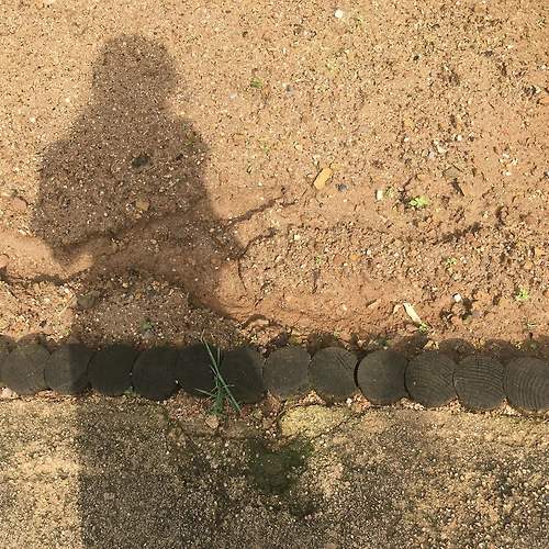 프로필