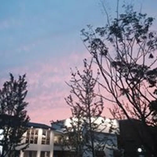 프로필 이미지