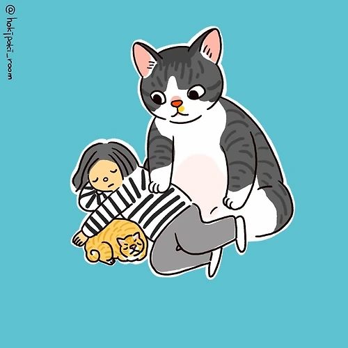 프로필 이미지