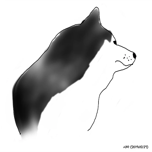 프로필 이미지