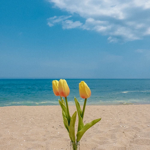 프로필 이미지