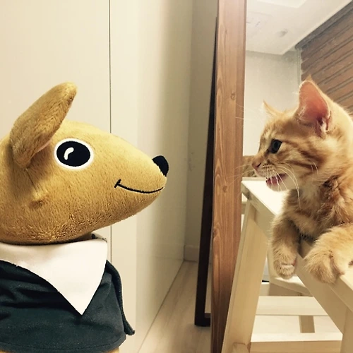 프로필 이미지