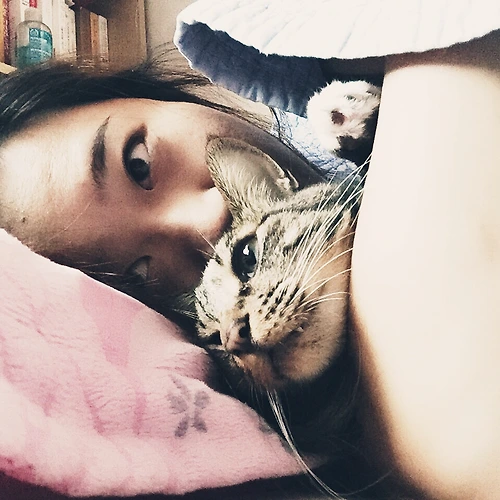 프로필 이미지