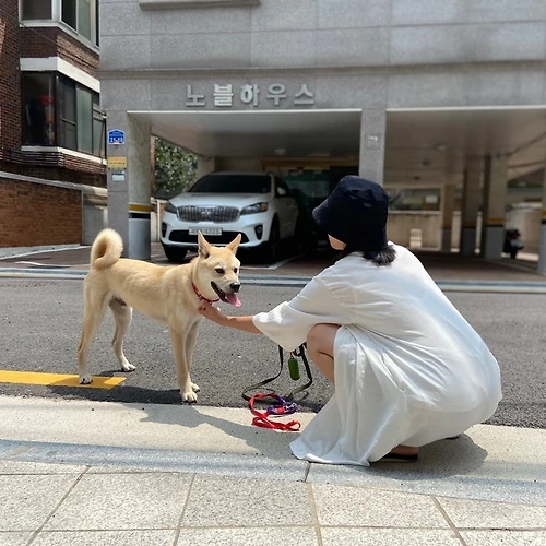프로필 이미지